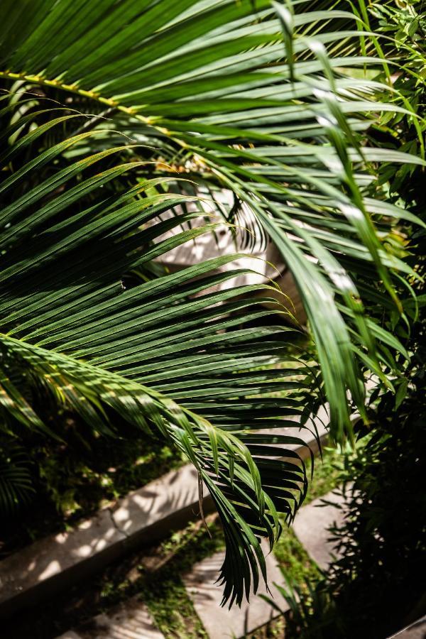 The Spare Room Bali Чангу Екстер'єр фото