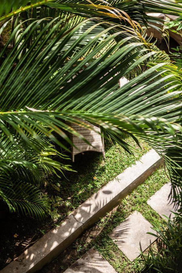 The Spare Room Bali Чангу Екстер'єр фото